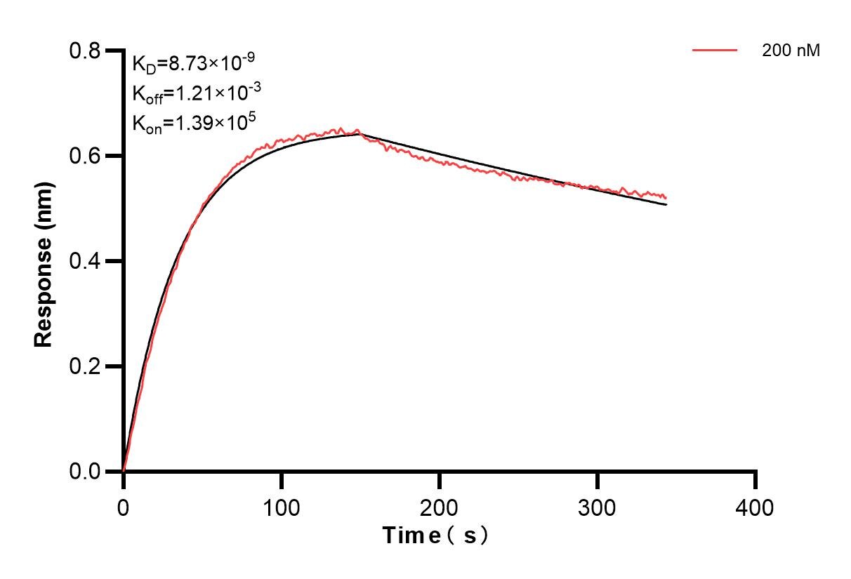 Affinity and Kinetic Characterization of 85068-1-PBS