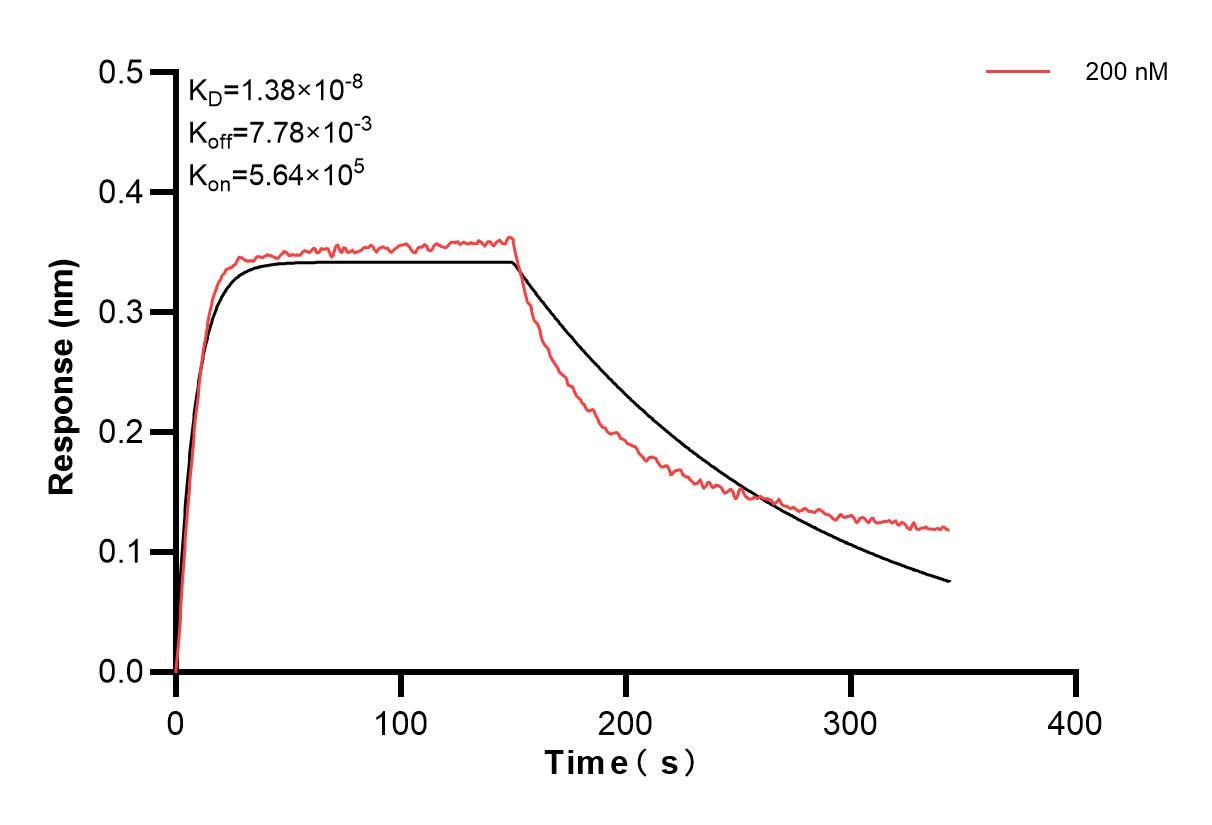 Affinity and Kinetic Characterization of 85068-2-PBS