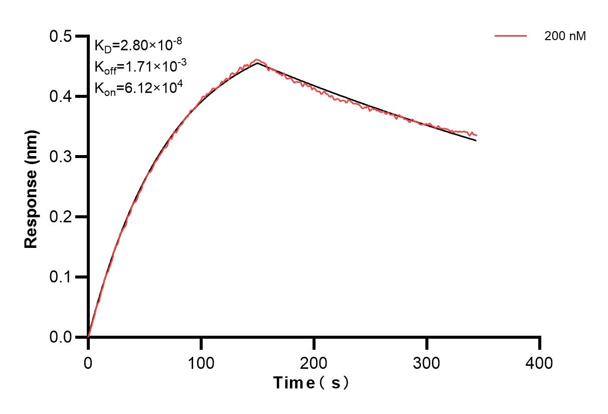 Affinity and Kinetic Characterization of 85068-3-PBS