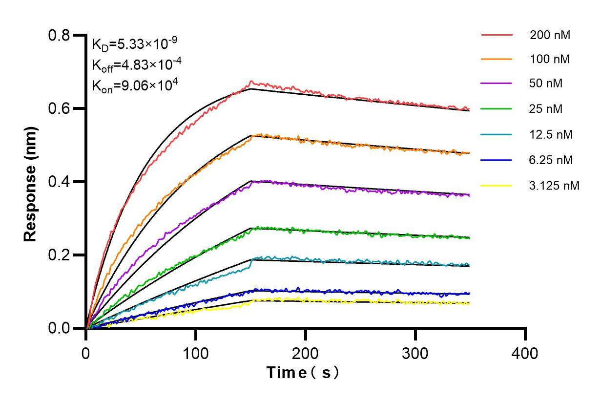 Affinity and Kinetic Characterization of 85077-5-RR