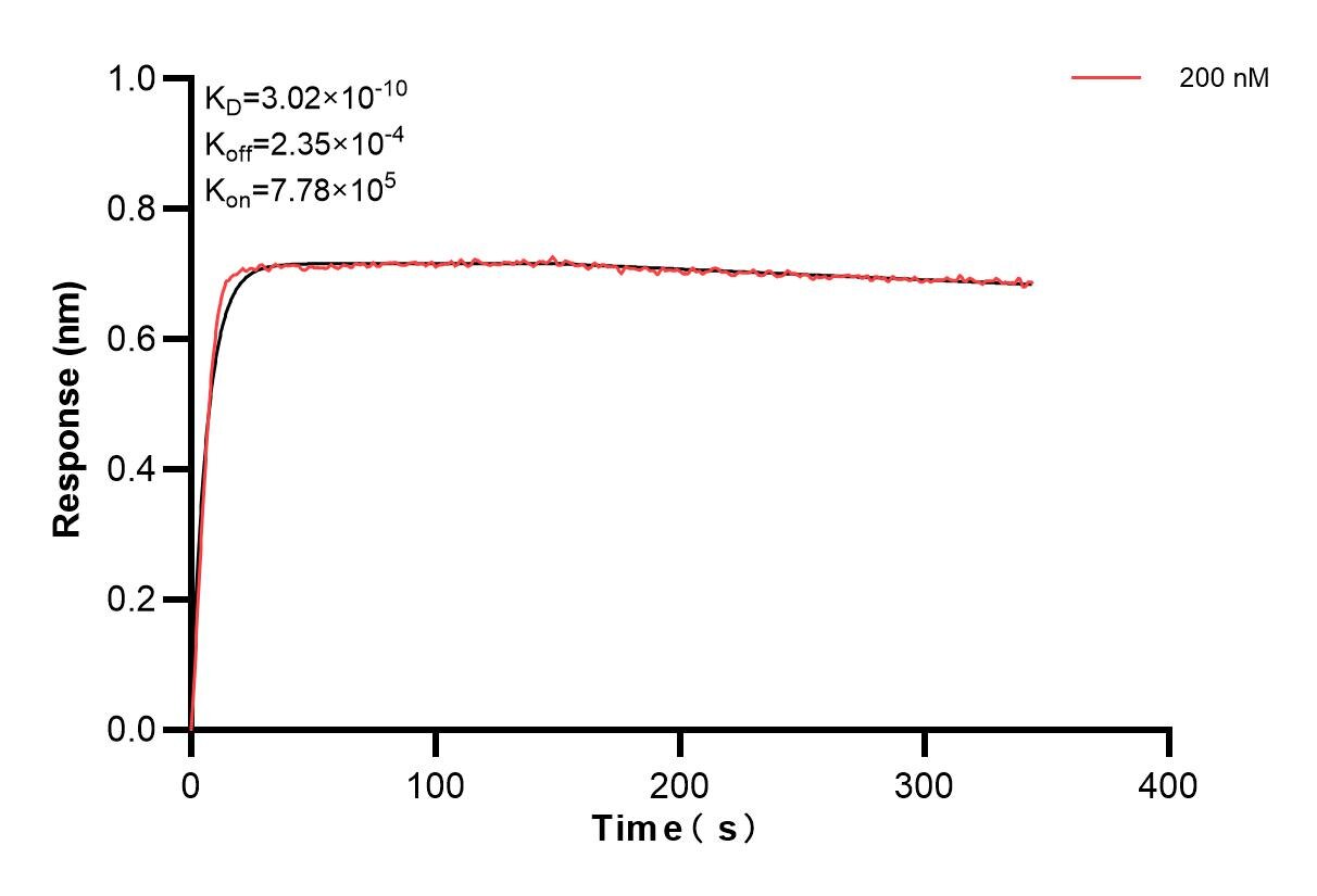 Affinity and Kinetic Characterization of 85078-2-PBS