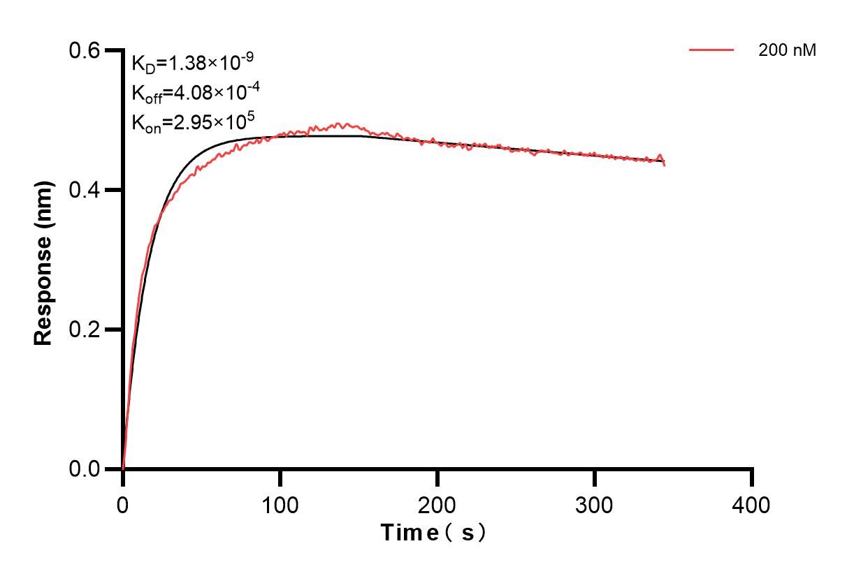 Affinity and Kinetic Characterization of 85078-4-PBS
