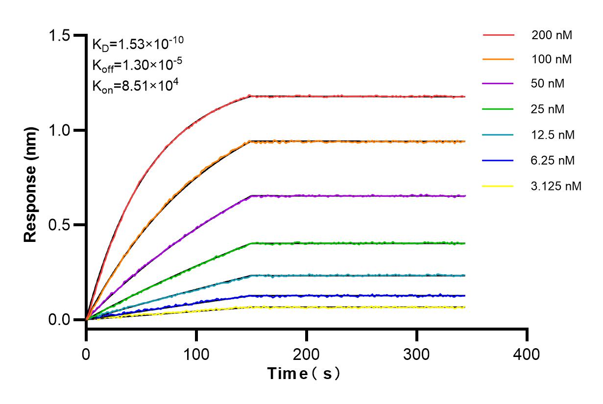 Affinity and Kinetic Characterization of 85086-5-RR