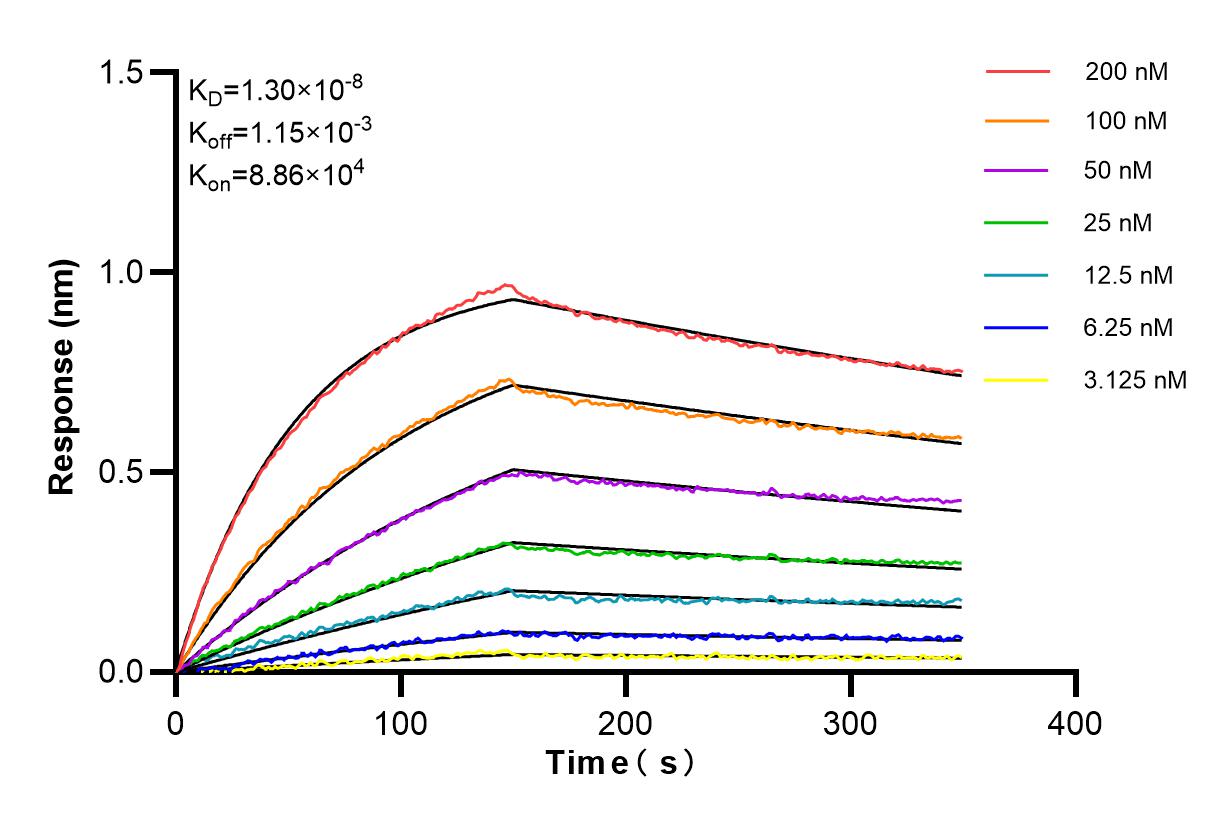 Affinity and Kinetic Characterization of 85087-5-RR