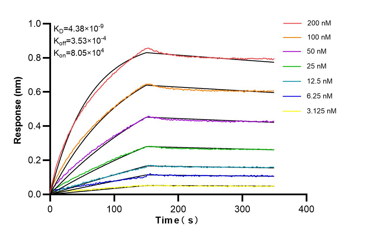 Affinity of 85088-3-PBS