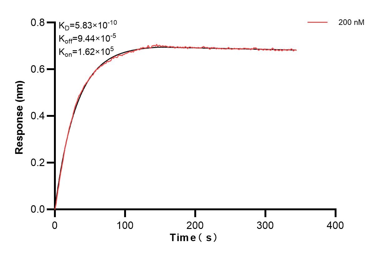 Affinity and Kinetic Characterization of 85103-2-PBS