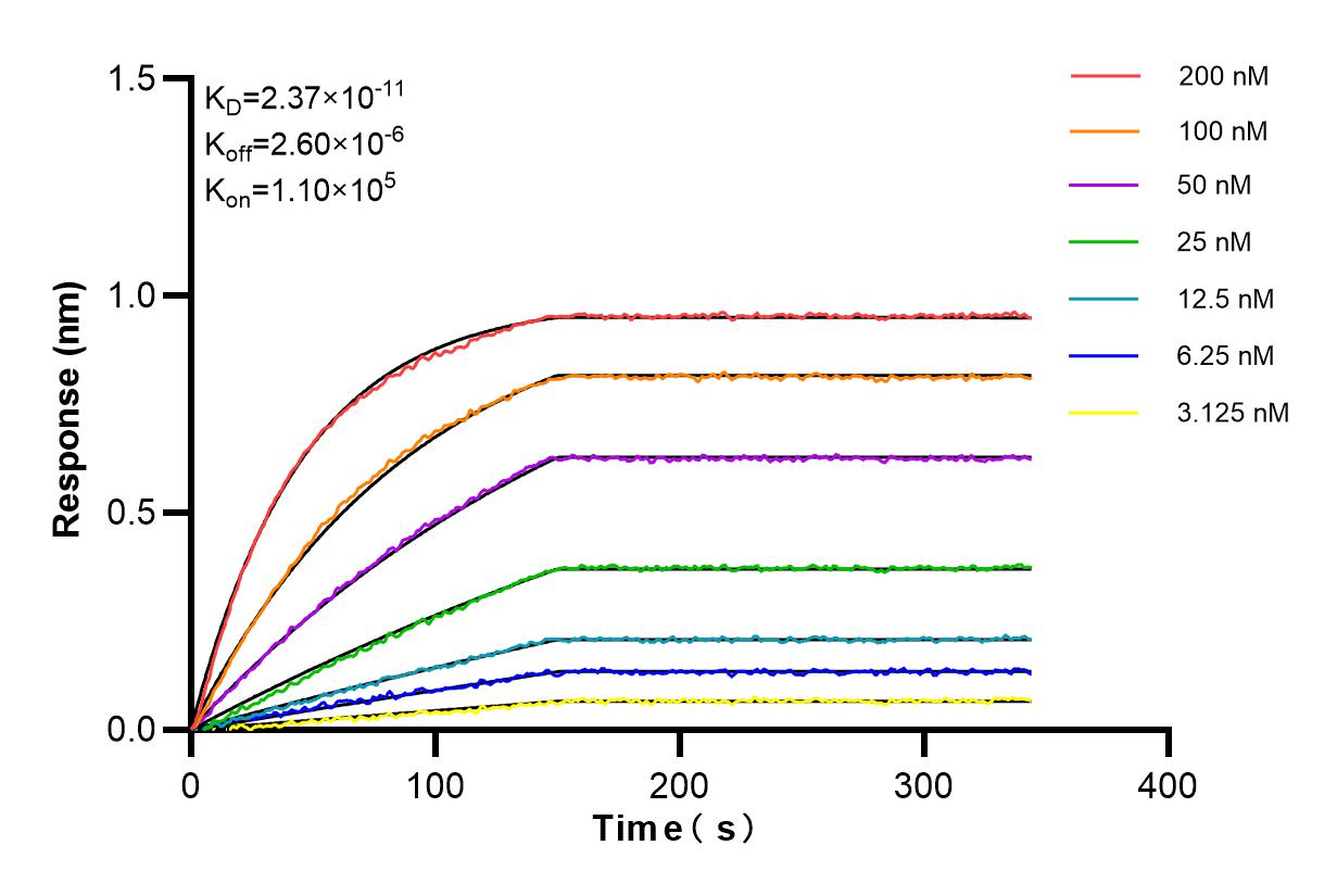 Affinity and Kinetic Characterization of 85103-3-RR