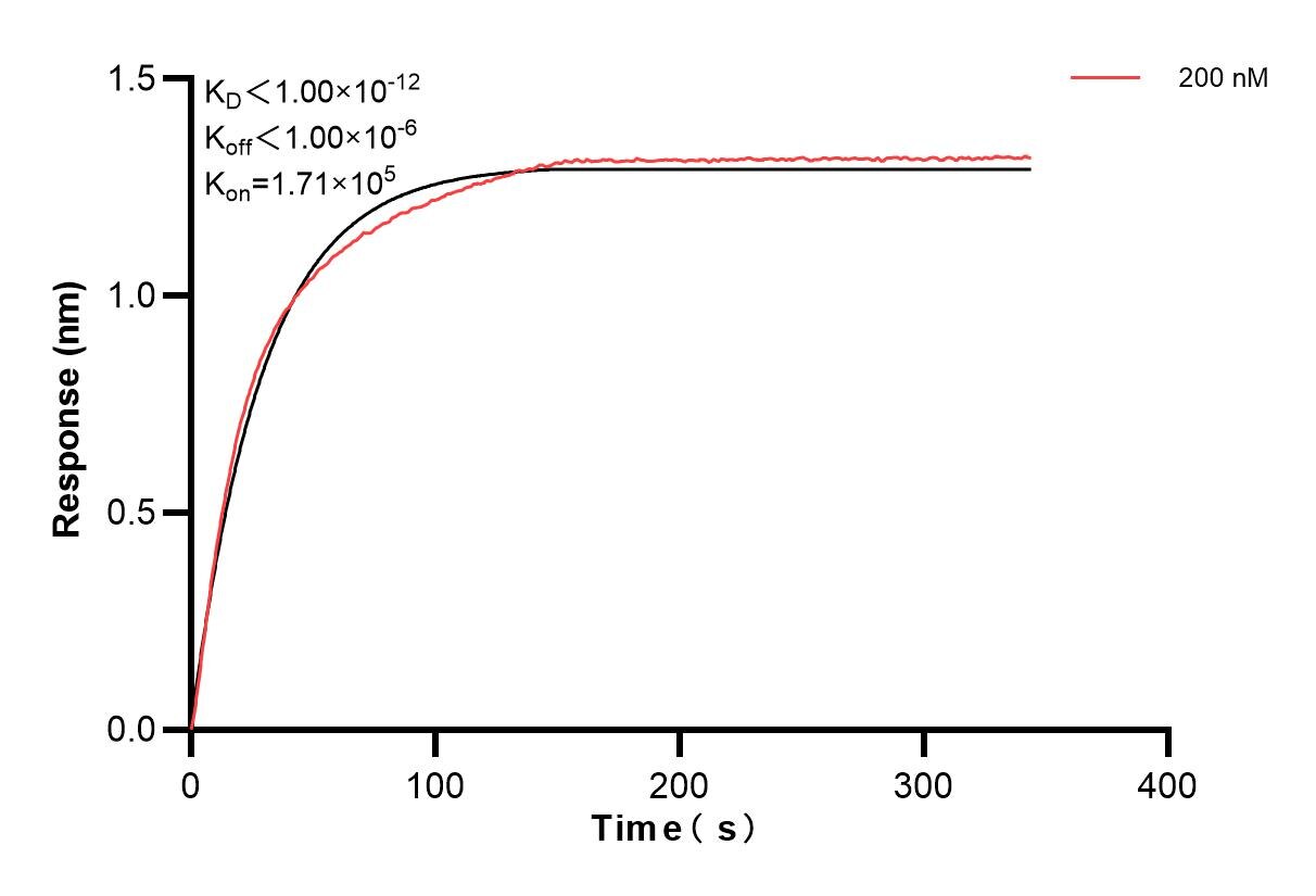 Affinity and Kinetic Characterization of 85108-3-PBS
