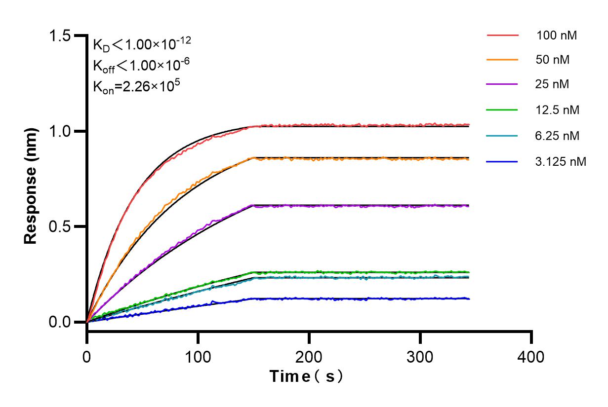Affinity and Kinetic Characterization of 85108-5-RR