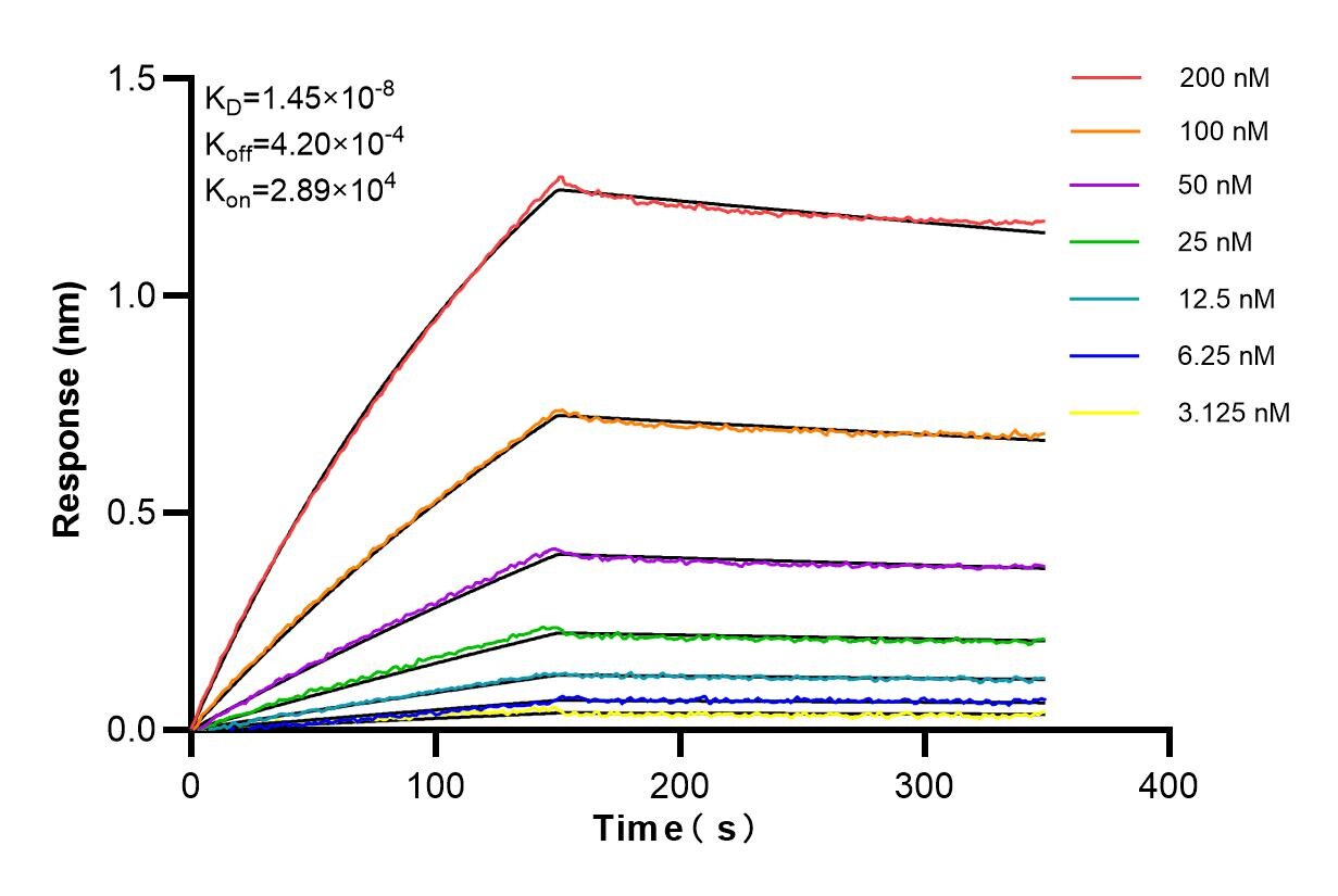 Affinity and Kinetic Characterization of 85109-4-RR