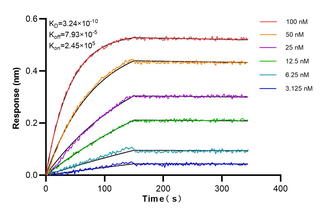 Affinity and Kinetic Characterization of 85109-5-RR