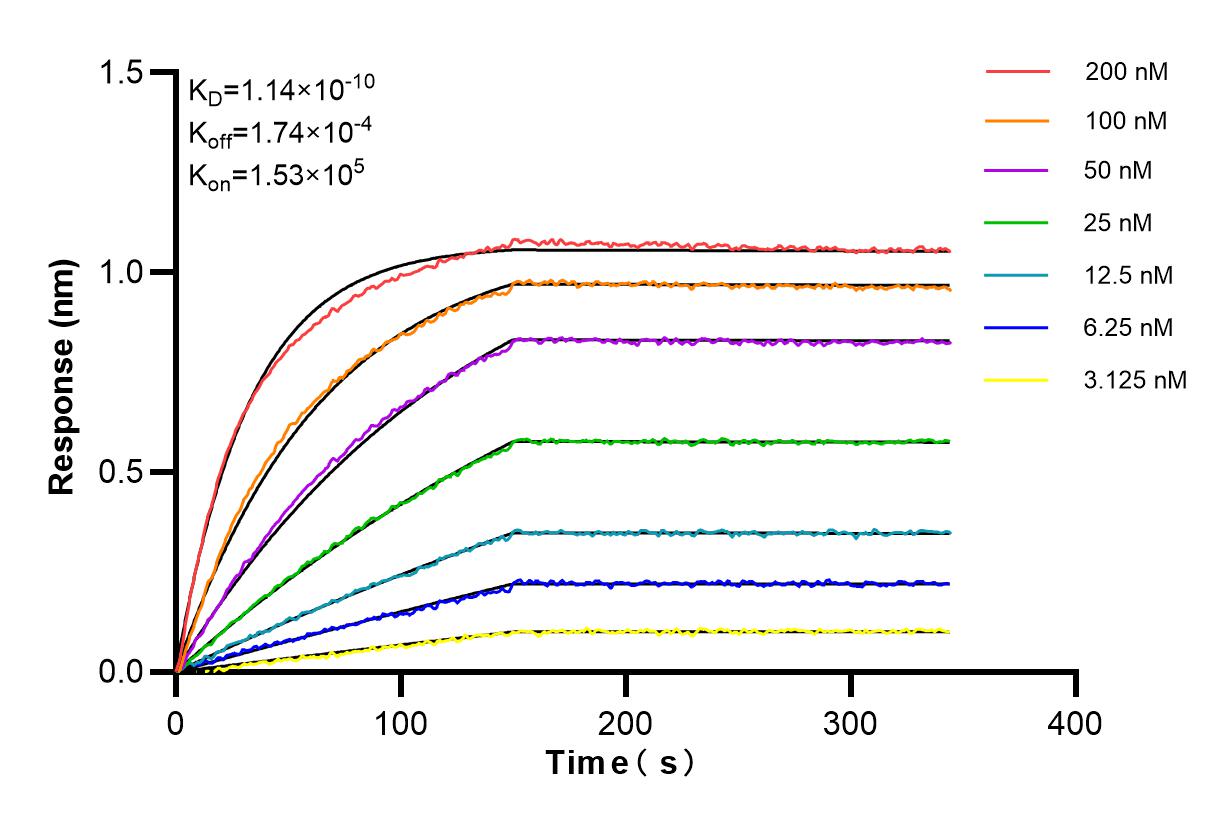 Affinity and Kinetic Characterization of 85110-4-RR