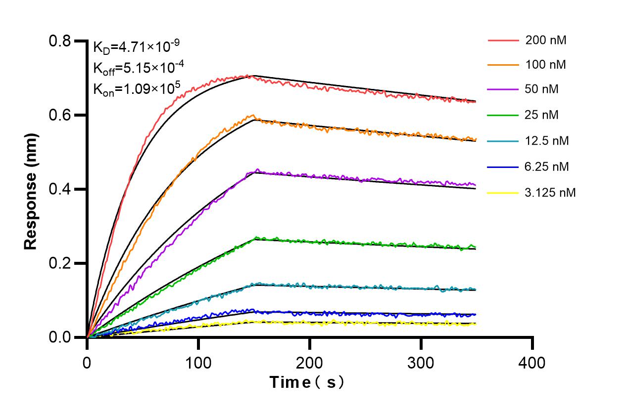 Affinity and Kinetic Characterization of 85115-3-PBS