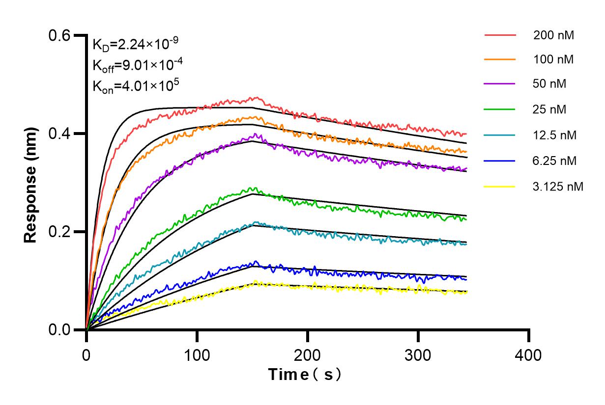 Affinity and Kinetic Characterization of 85118-6-RR