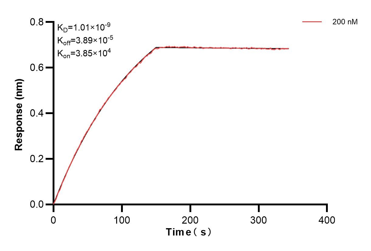 Affinity and Kinetic Characterization of 85121-2-PBS