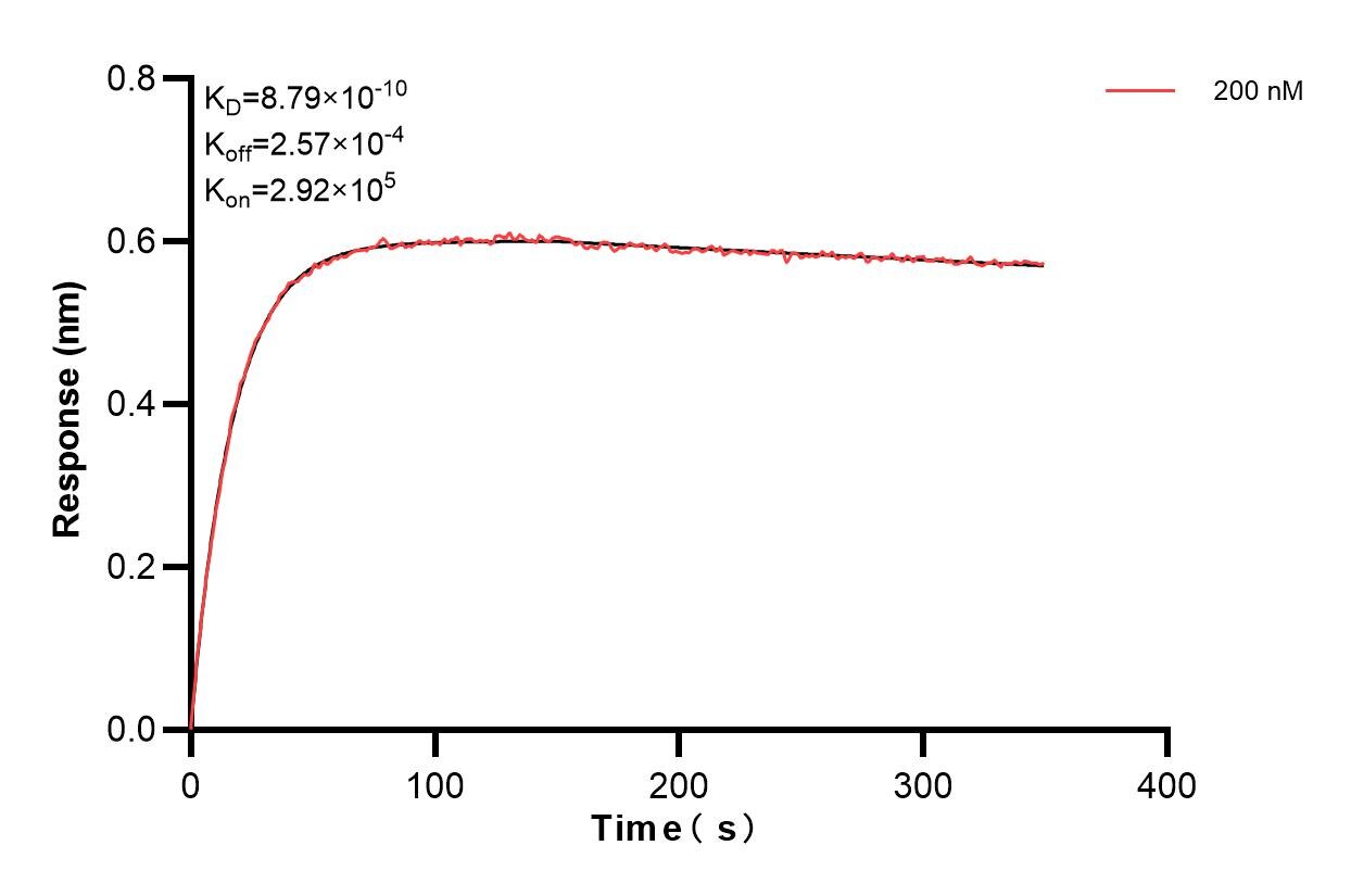 Affinity and Kinetic Characterization of 85122-2-PBS