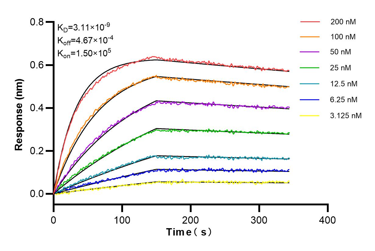 Affinity and Kinetic Characterization of 85122-4-RR