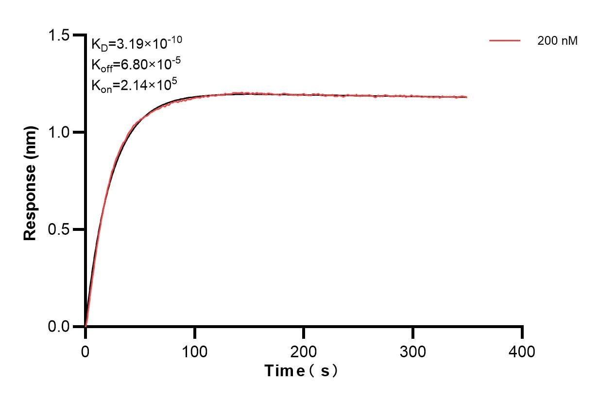 Affinity and Kinetic Characterization of 85129-2-PBS