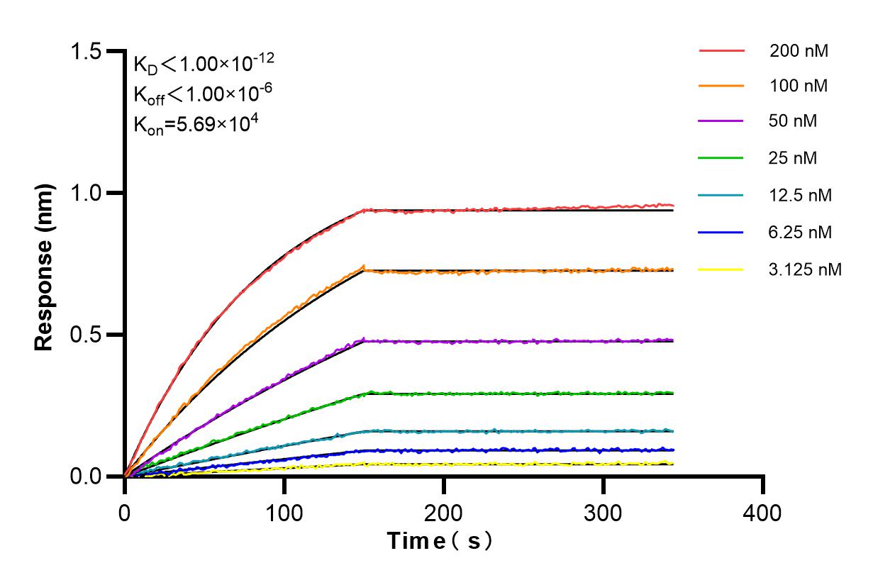 Affinity and Kinetic Characterization of 85133-3-RR