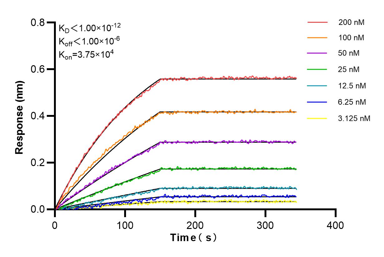 Affinity and Kinetic Characterization of 85134-6-RR