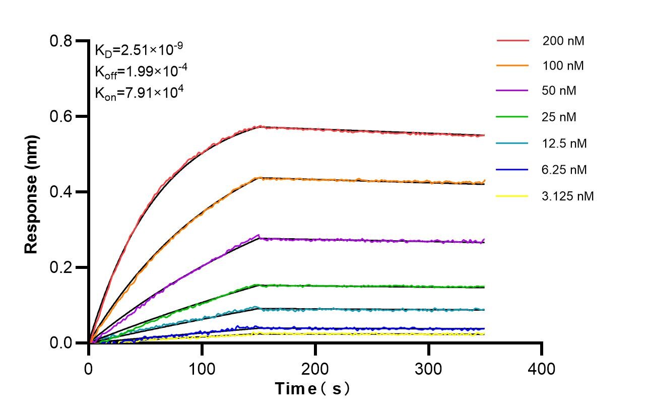 Biolayer interferometry (BLl) kinetic assays of 85138-3-RR against Human TANK were performed. The affinity constant is 2.51 nM. Affinity of 85138-3-RR