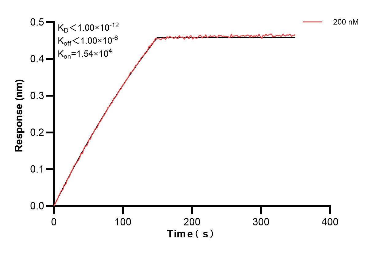 Affinity and Kinetic Characterization of 85161-5-PBS