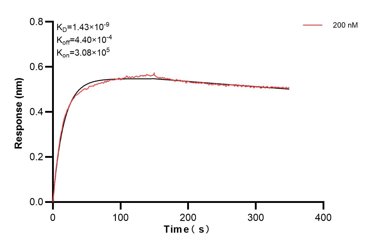 Affinity and Kinetic Characterization of 85162-2-PBS