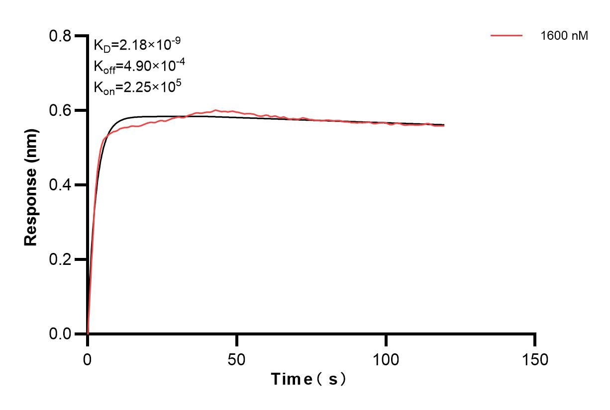 Affinity and Kinetic Characterization of 85162-3-PBS
