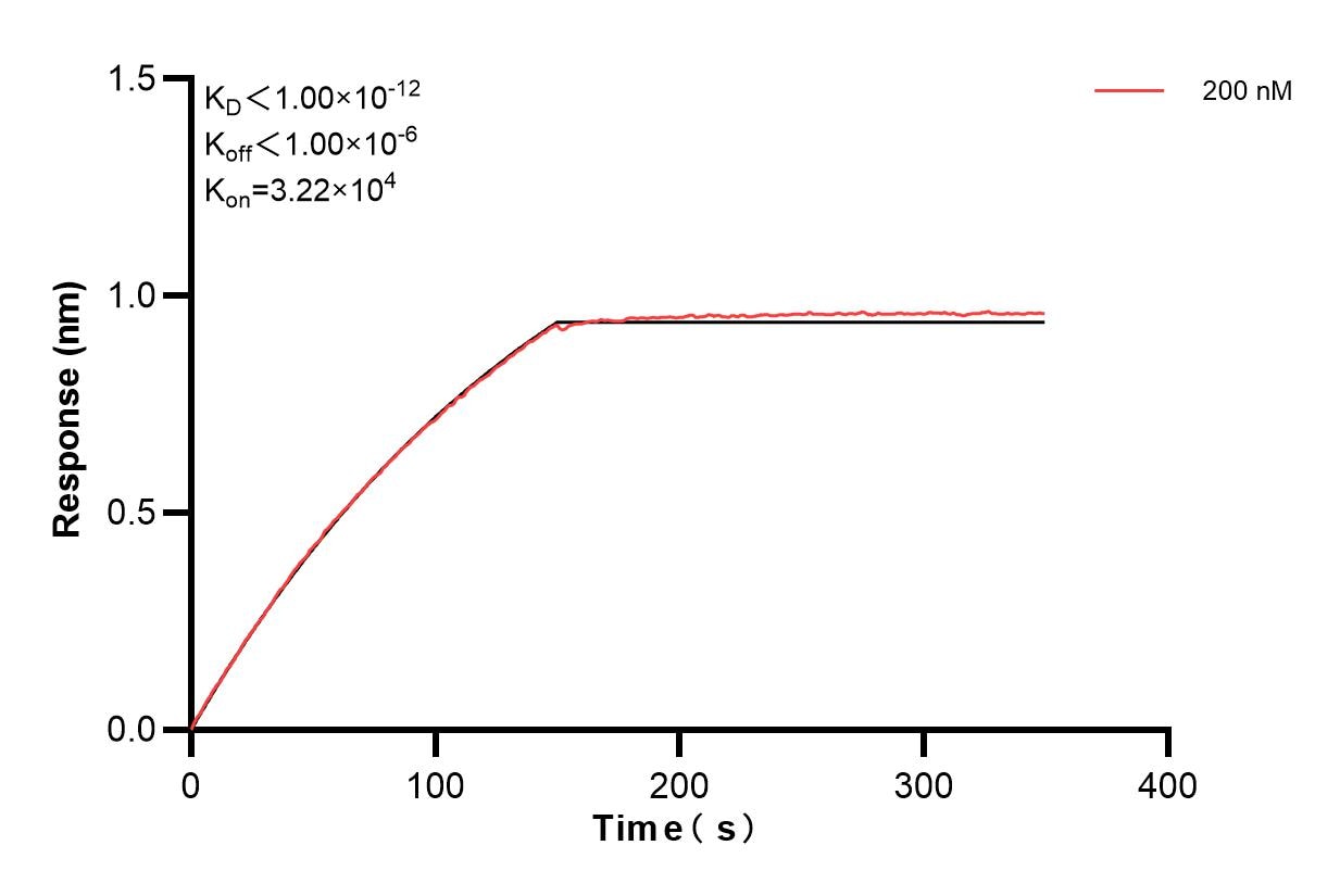Affinity and Kinetic Characterization of 85165-1-PBS Affinity and Kinetic Characterization of 85165-1-PBS