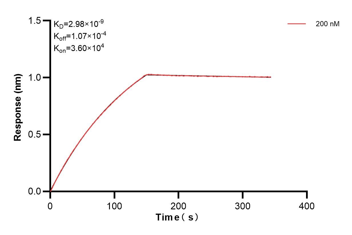 Affinity and Kinetic Characterization of 85165-2-PBS