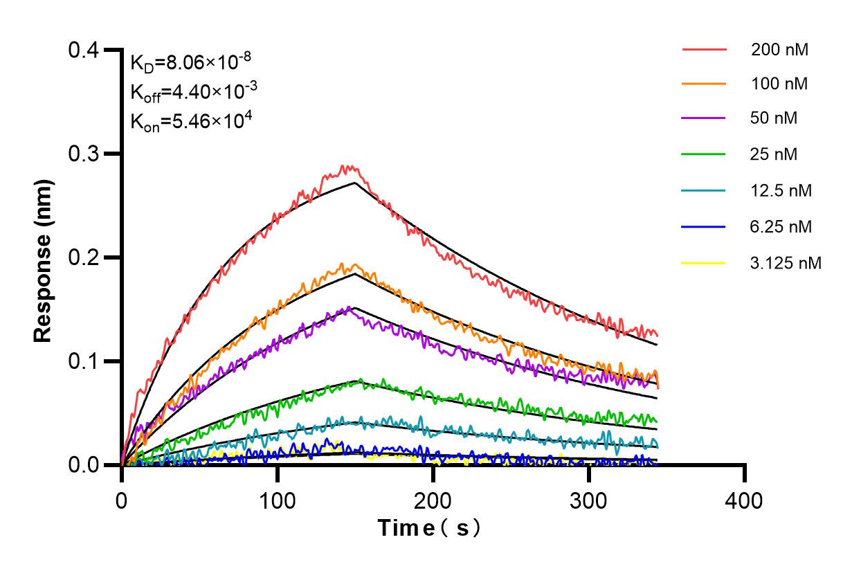 Affinity and Kinetic Characterization of 85168-2-RR
