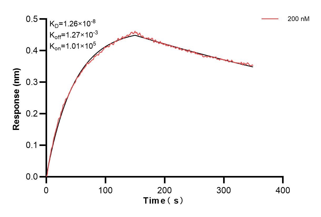 Biolayer interferometry (BLl) kinetic assay of 85173-1-PBS against Human ICOSLG was performed. The affinity constant is 1.26 nM. Affinity and Kinetic Characterization of 85173-1-PBS