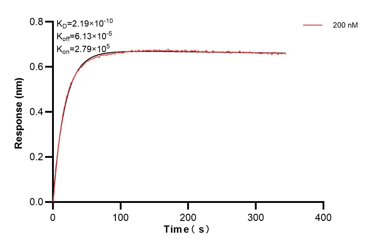 Affinity and Kinetic Characterization of 85178-6-PBS