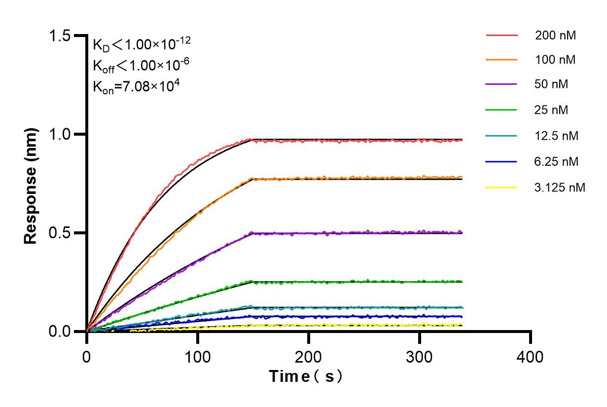Affinity and Kinetic Characterization of 85188-4-RR