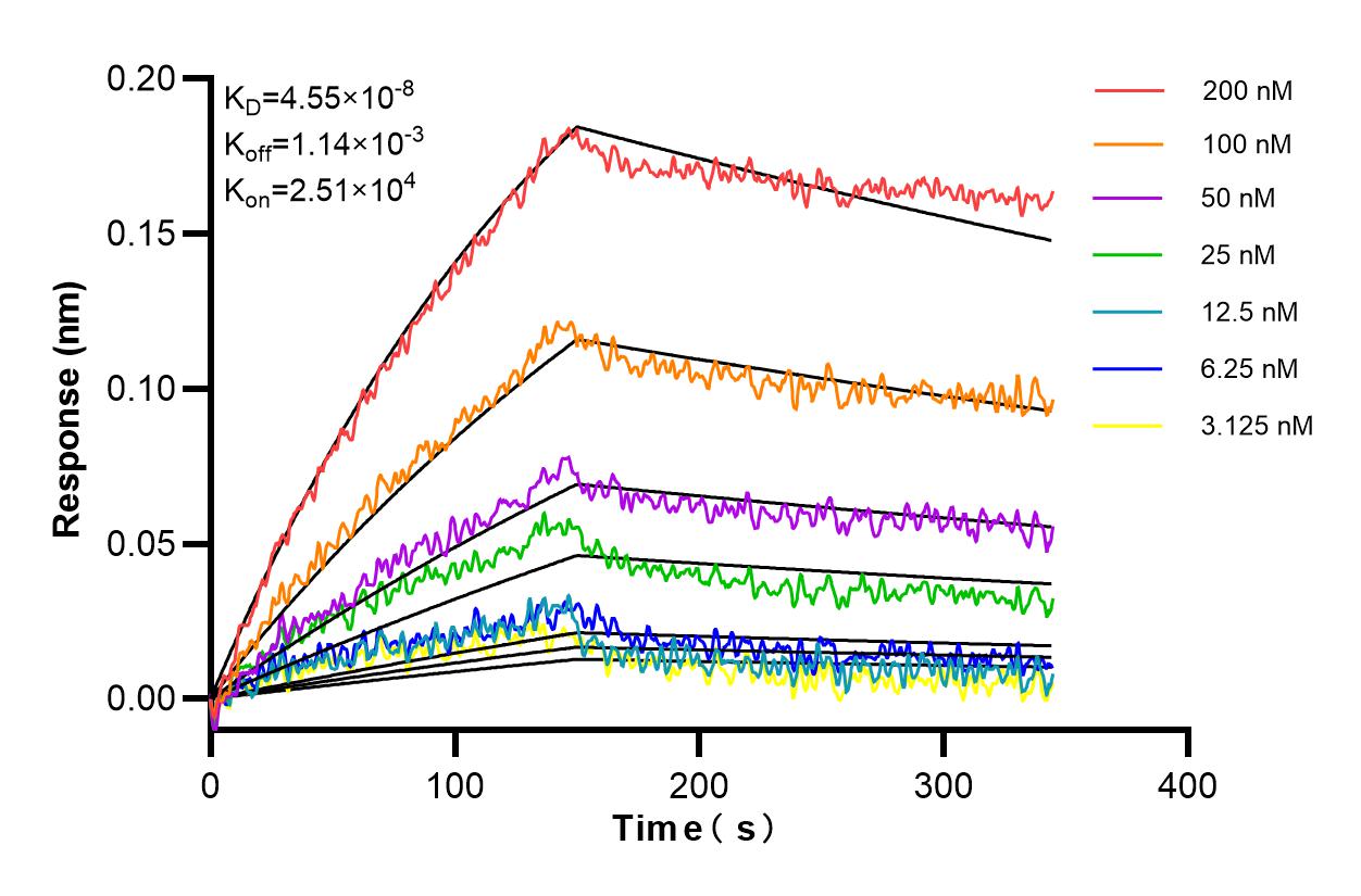 Affinity and Kinetic Characterization of 85189-4-RR
