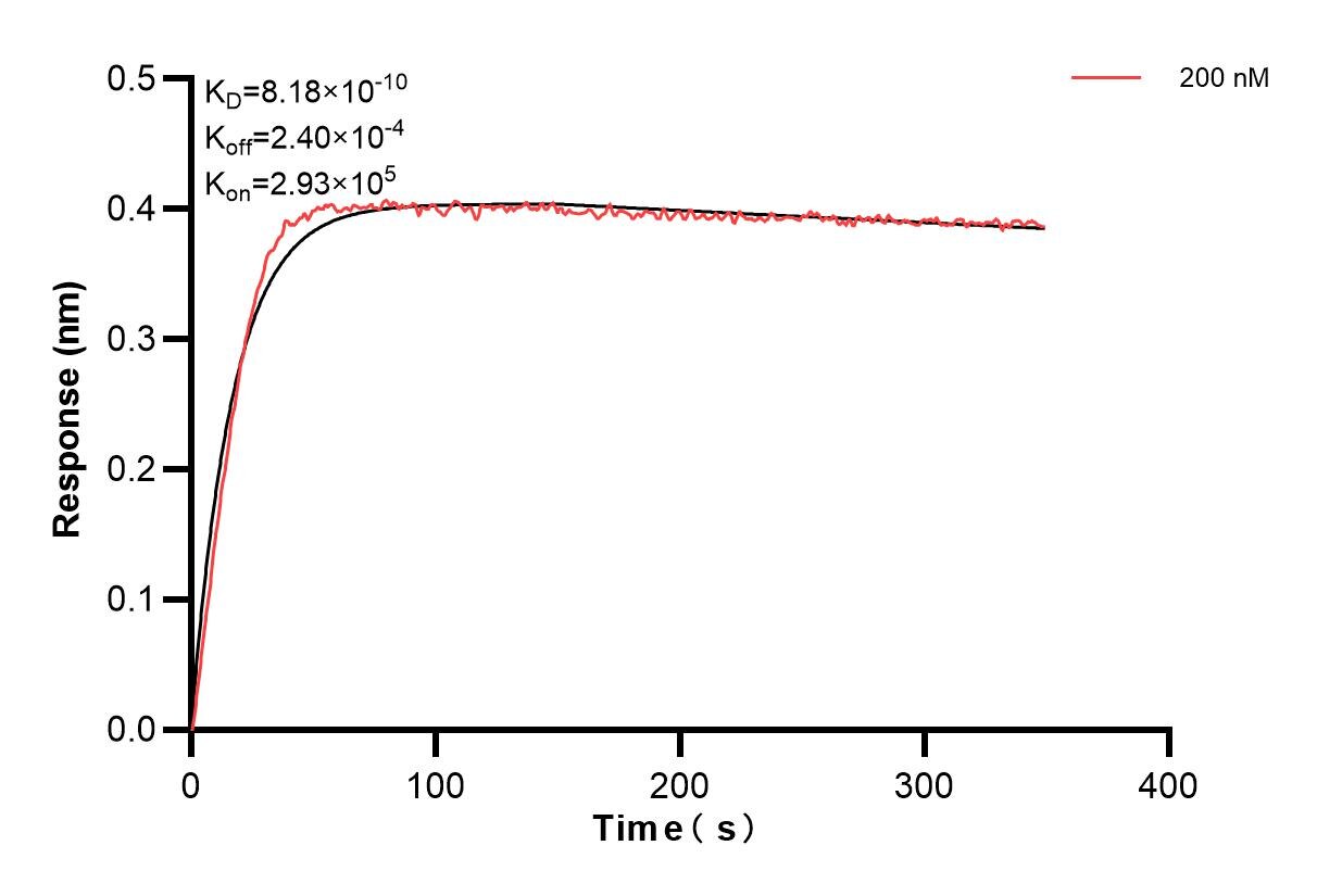 Affinity and Kinetic Characterization of 85209-3-PBS