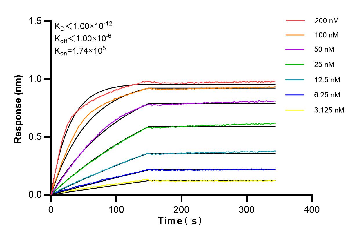 Affinity and Kinetic Characterization of 85217-2-PBS