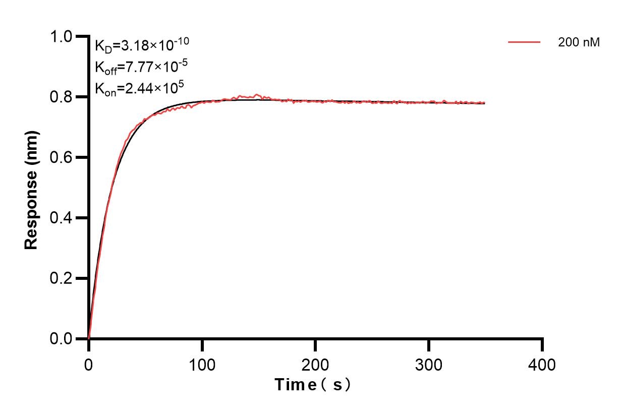 Affinity and Kinetic Characterization of 85217-3-PBS