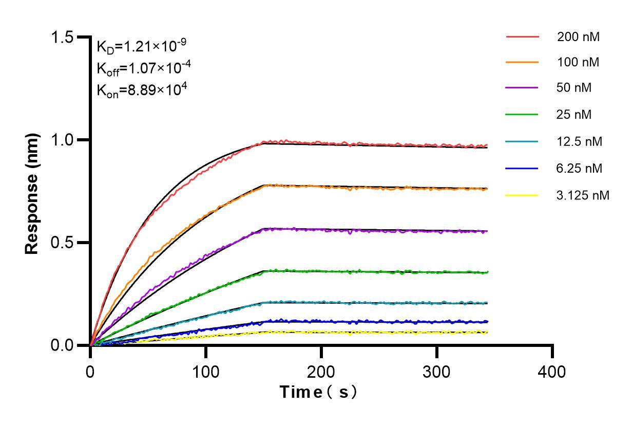 Affinity and Kinetic Characterization of 85220-2-PBS