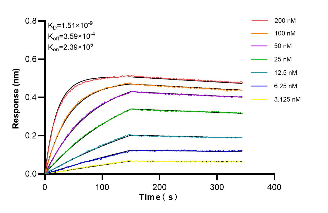 Affinity of 85244-4-RR