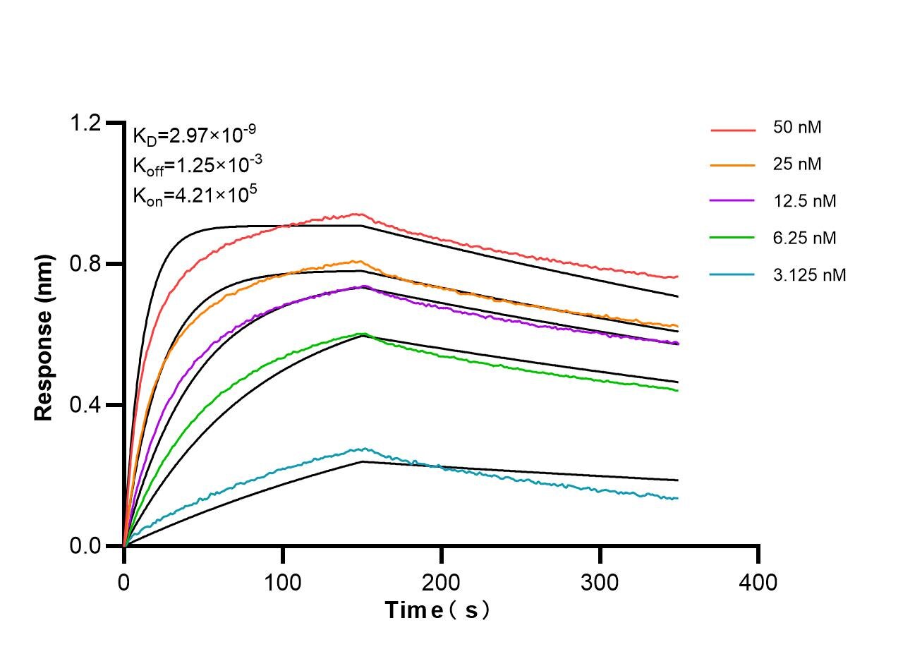 Affinity and Kinetic Characterization of 85245-5-RR Affinity and Kinetic Characterization of 85245-5-RR