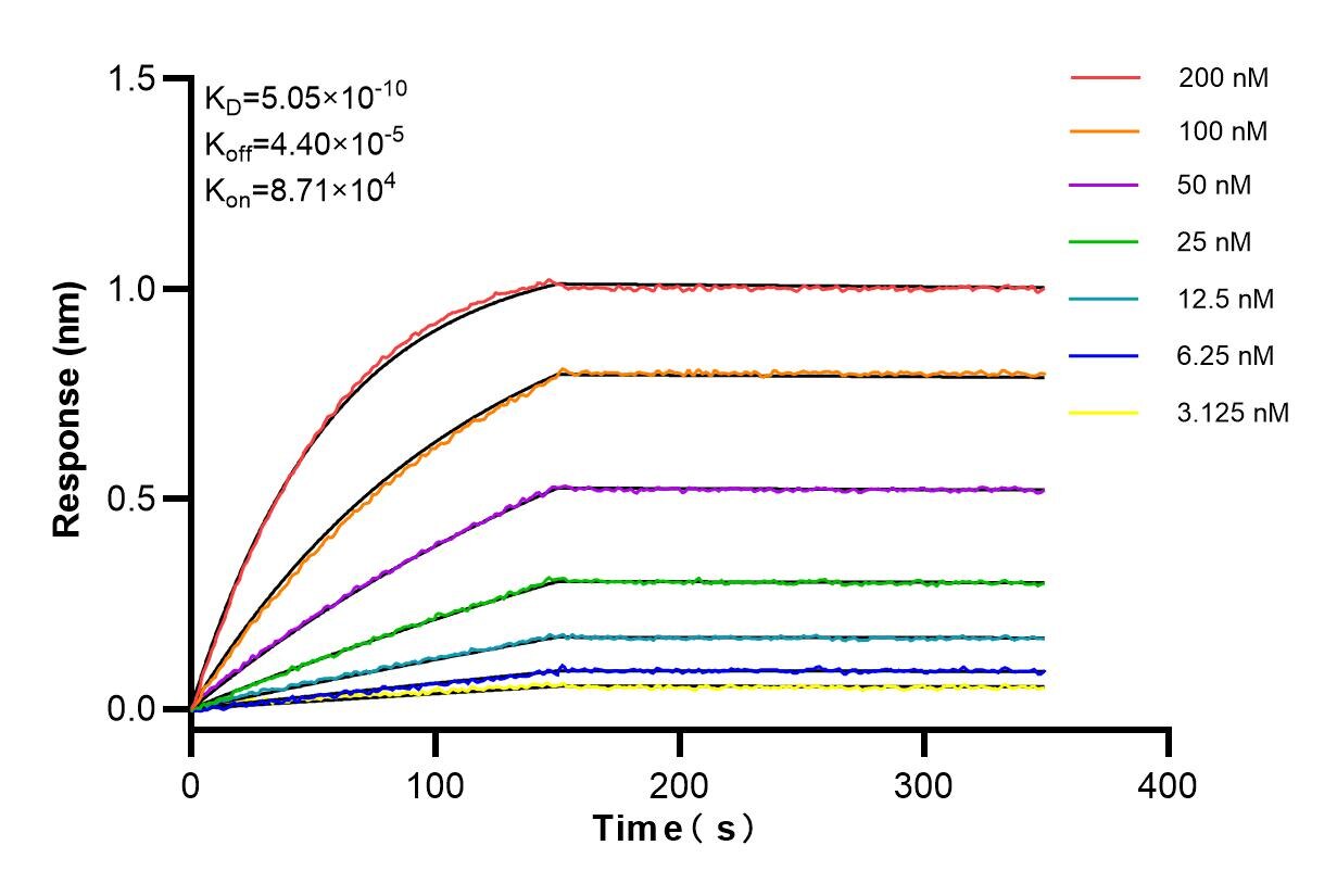 Affinity and Kinetic Characterization of 85347-1-RR