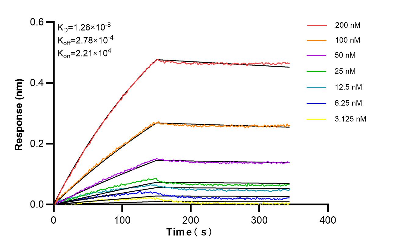 Affinity of 85394-1-RR