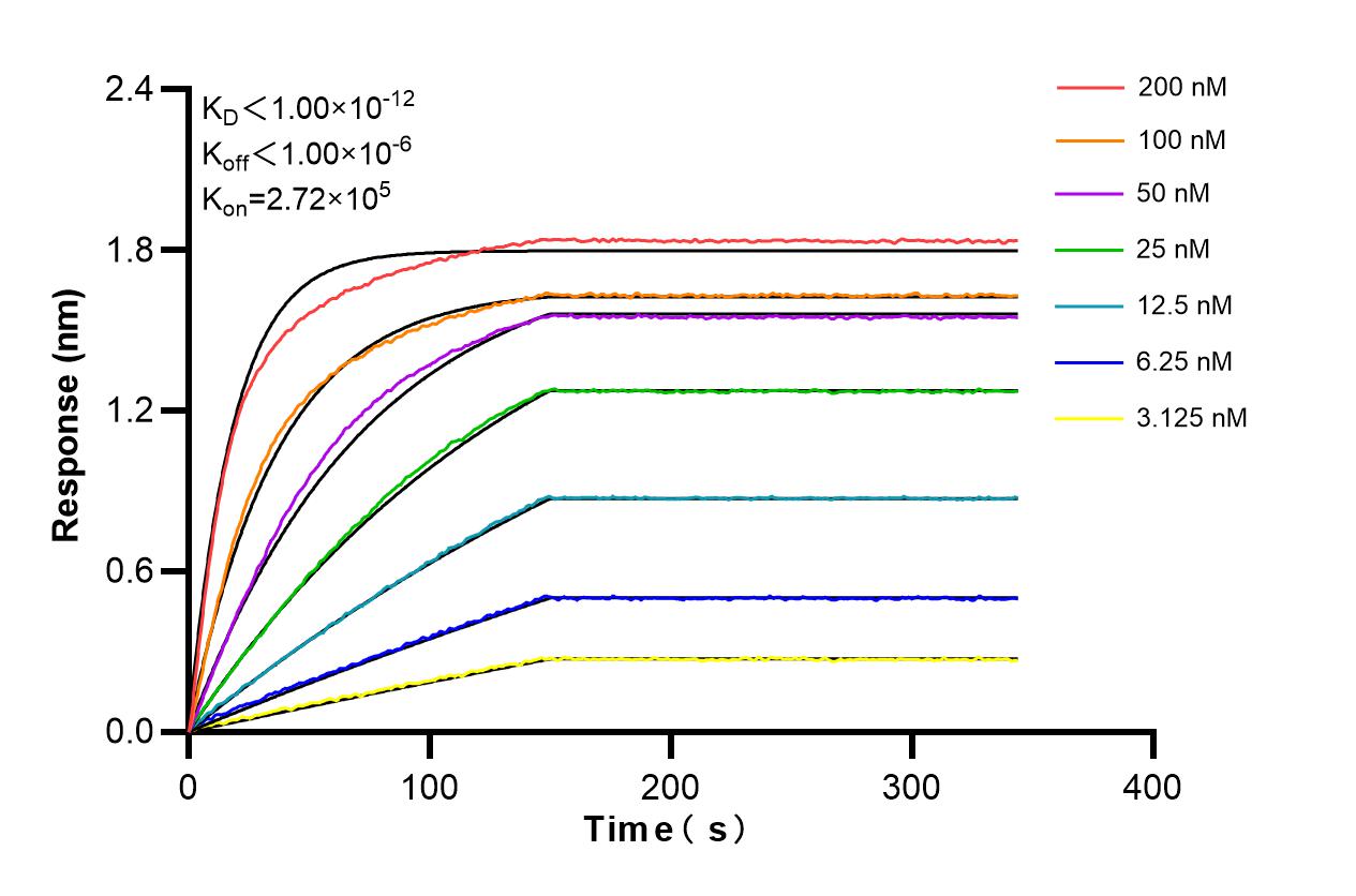 Affinity and Kinetic Characterization of 85408-4-PBS