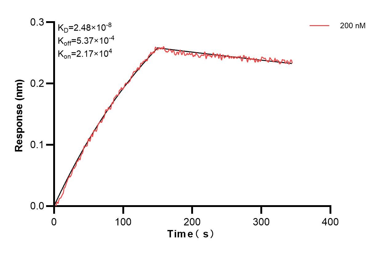Affinity and Kinetic Characterization of 85423-1-PBS
