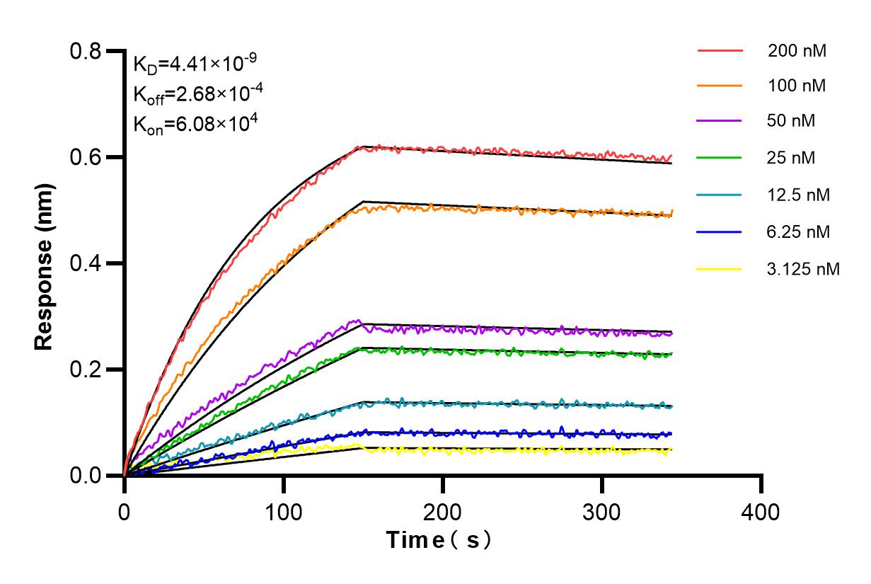 Affinity and Kinetic Characterization of 85423-2-RR
