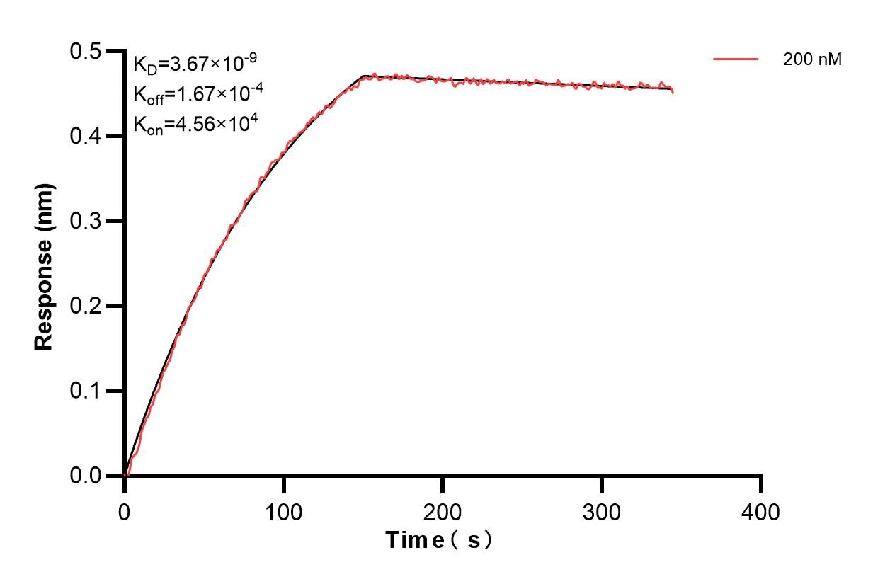 Affinity and Kinetic Characterization of 85423-3-PBS