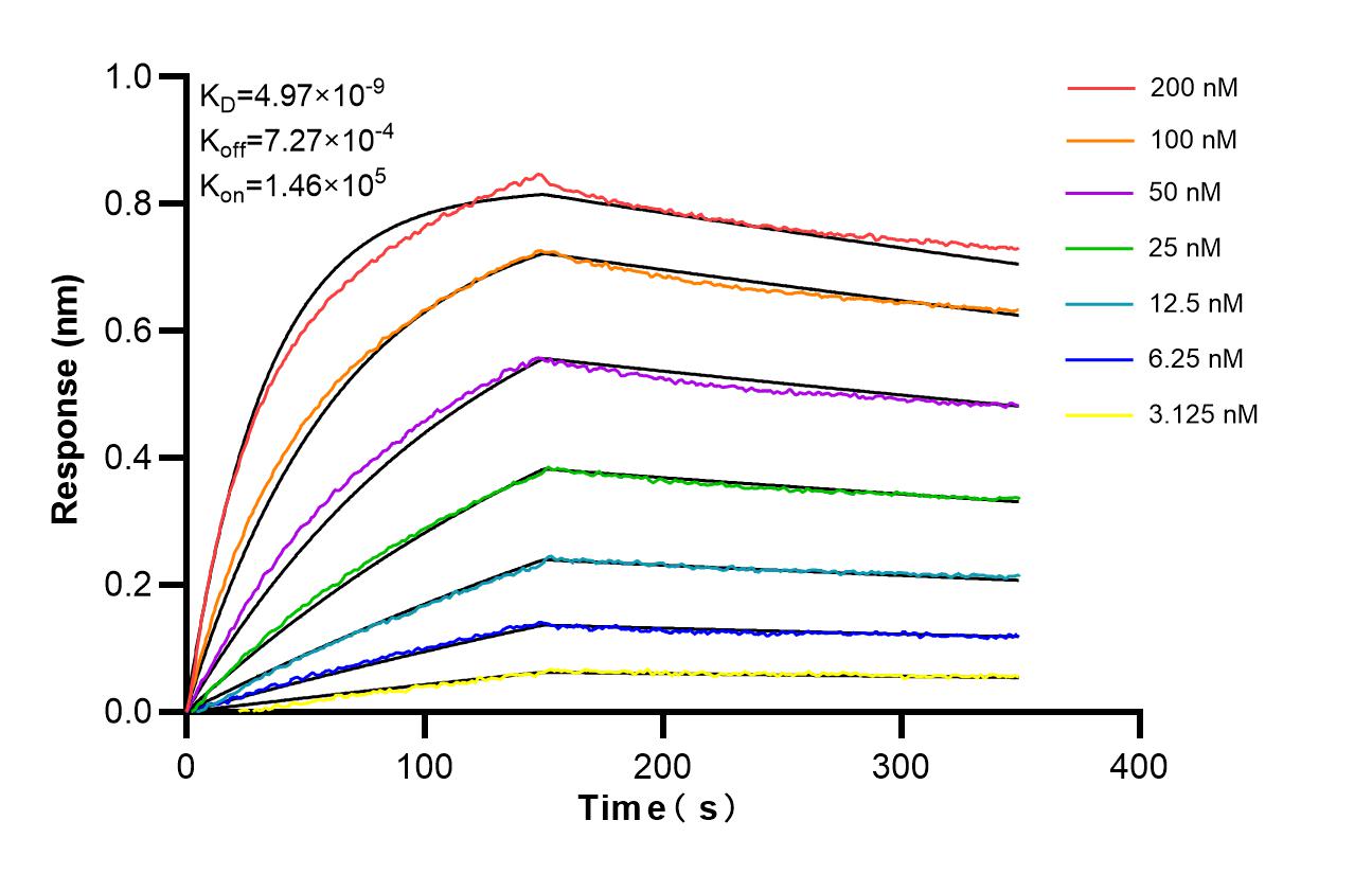Affinity of 85434-3-RR