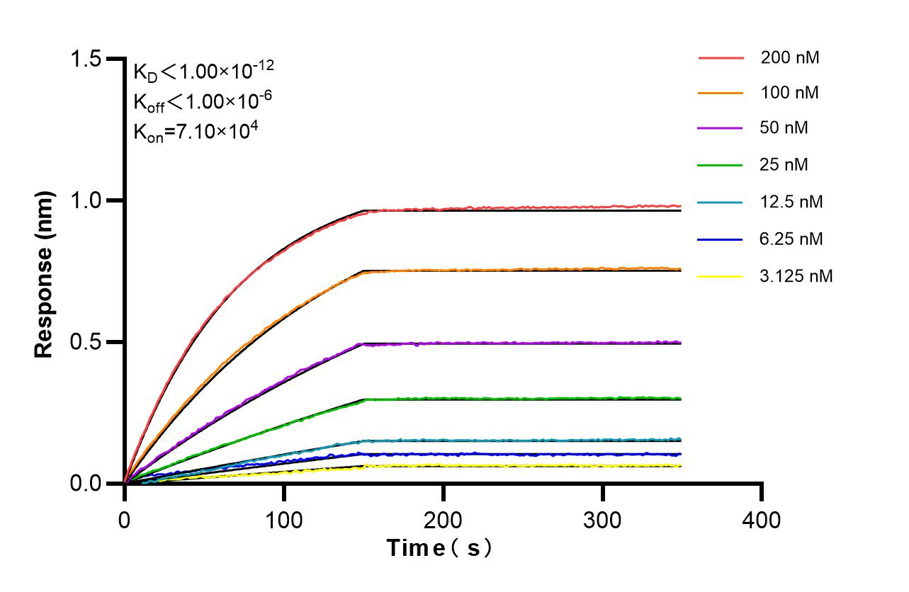 Affinity of 85435-2-RR