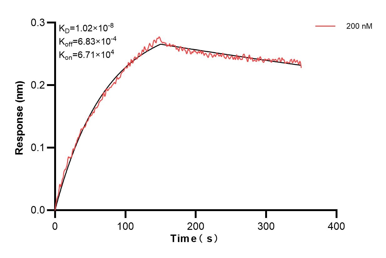 Affinity and Kinetic Characterization of 85439-3-PBS